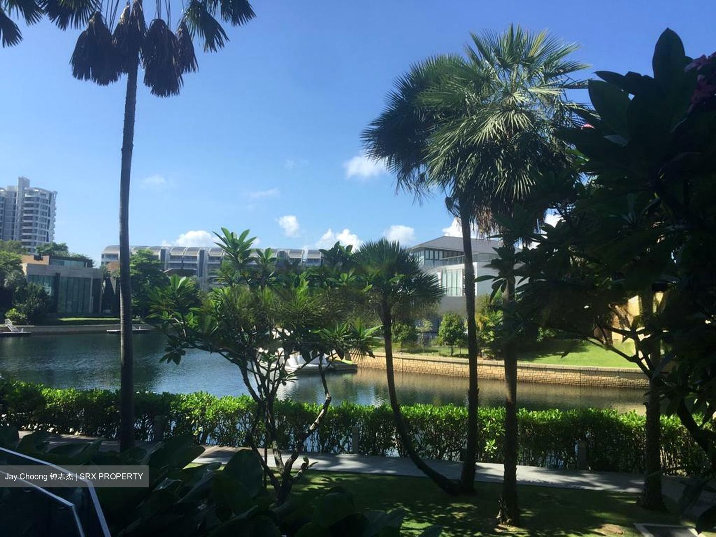 Turquoise (D4), Condominium #474493541